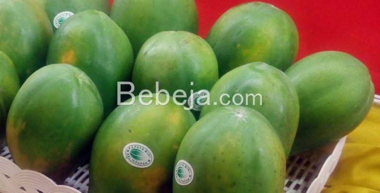 Supermarket Chooses Small Papayas