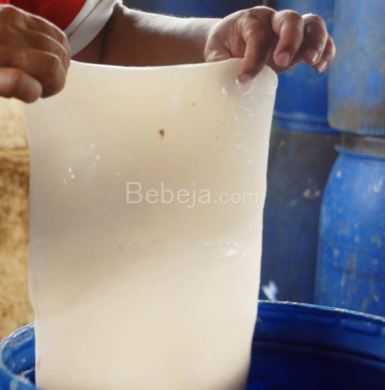 Production of Nata Using Tapioca Waste