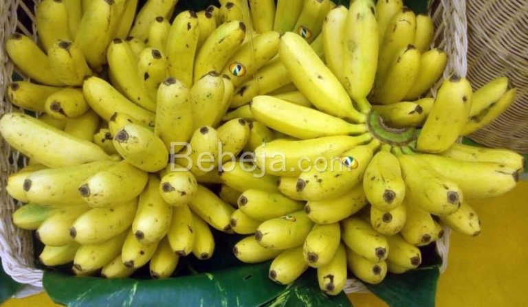 The Market for Various Types of Banana