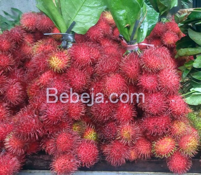 rambutan peel