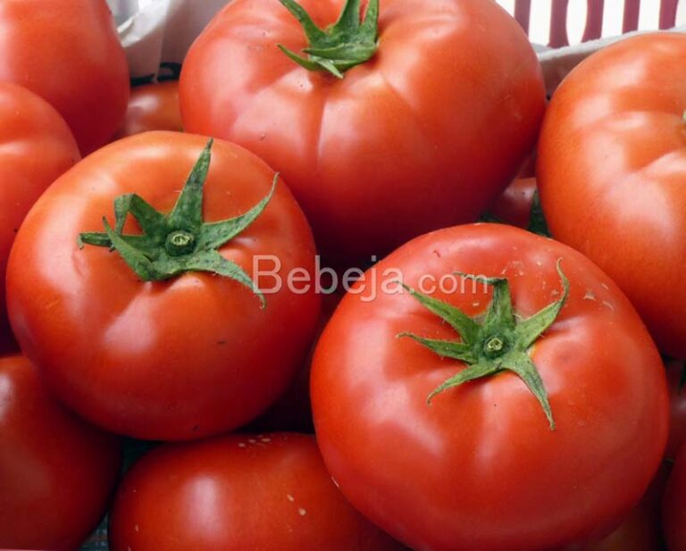 beef tomato